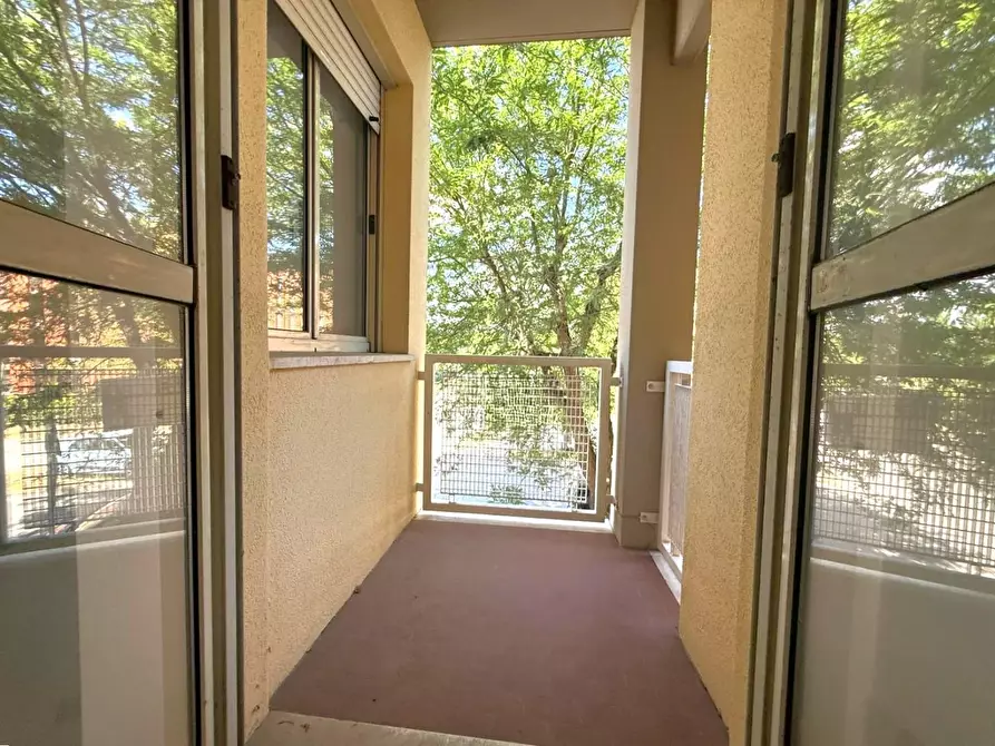 Immagine 10 di Appartamento in vendita  a Pontedera