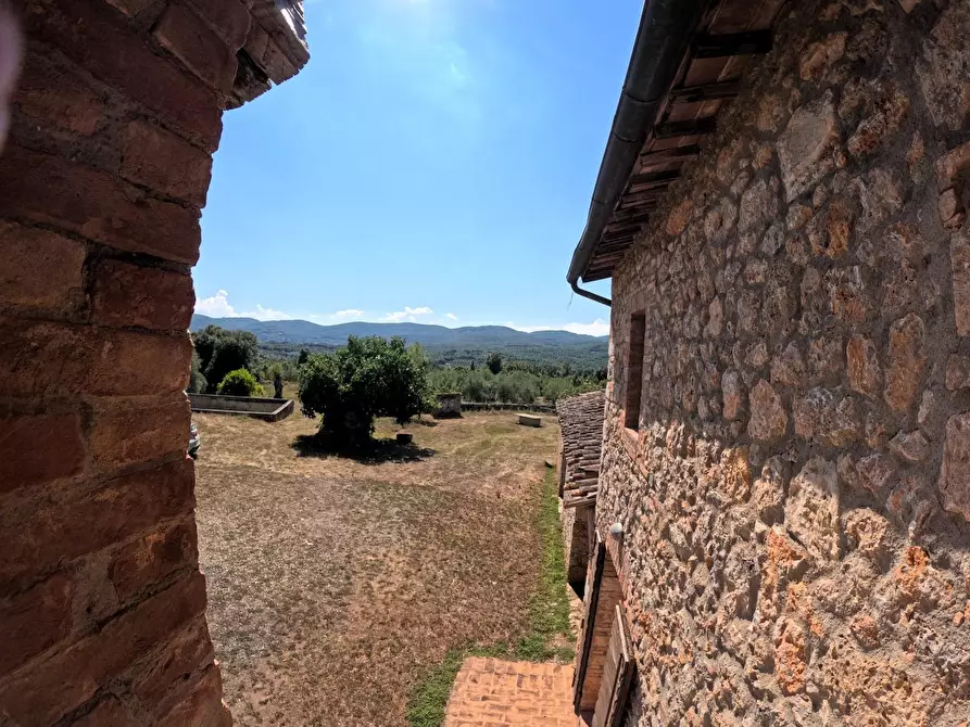 Immagine 34 di Casa colonica in vendita  a Siena