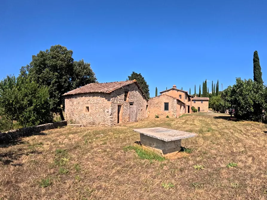 Immagine 23 di Casa colonica in vendita  a Siena