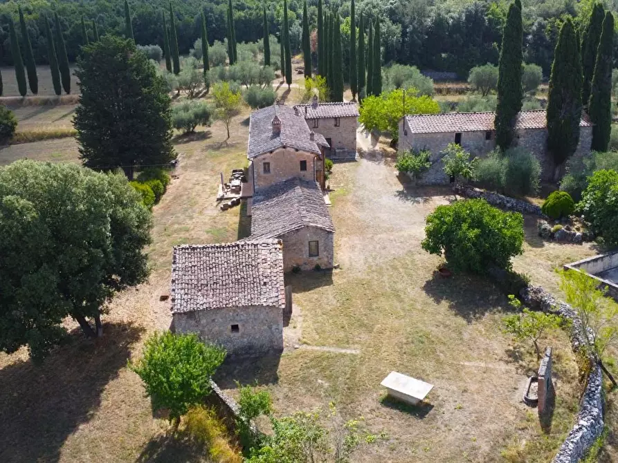 Immagine 15 di Casa colonica in vendita  a Siena