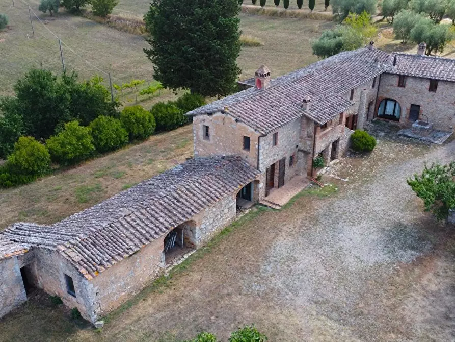 Immagine 16 di Casa colonica in vendita  a Siena