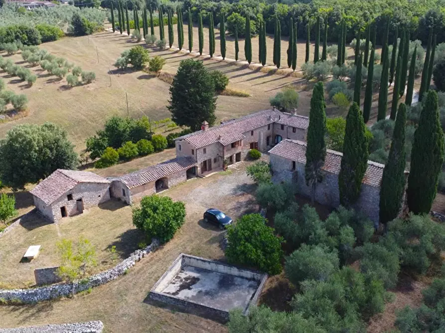 Immagine 4 di Casa colonica in vendita  a Siena