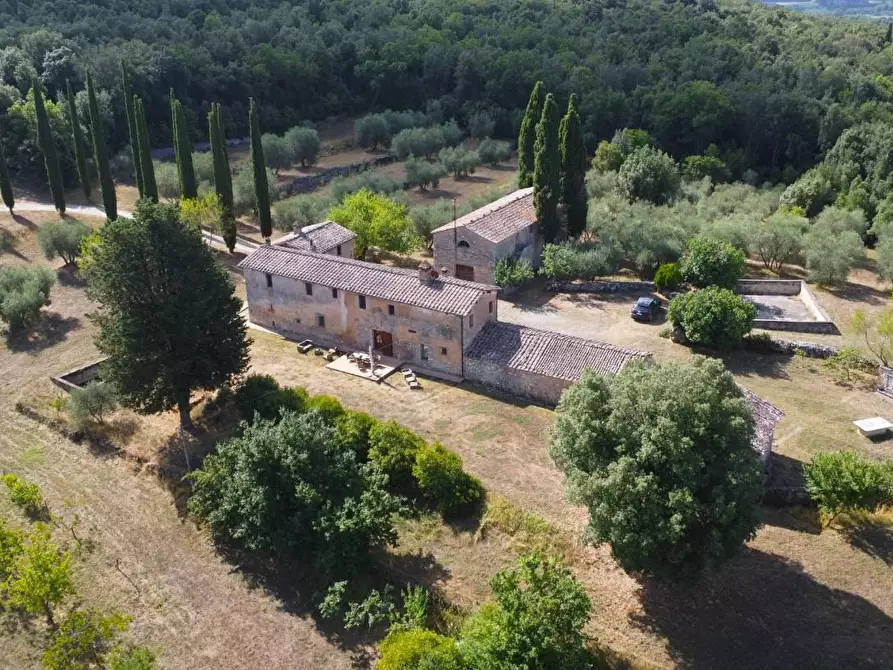 Immagine 7 di Casa colonica in vendita  a Siena