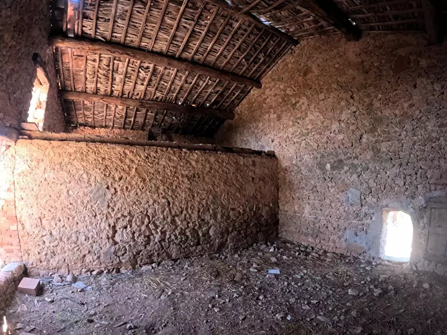 Immagine 53 di Casa colonica in vendita  a Siena