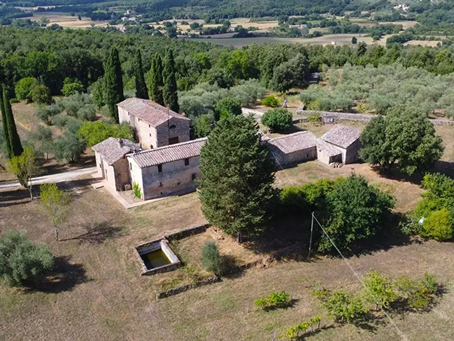 Immagine 8 di Casa colonica in vendita  a Siena