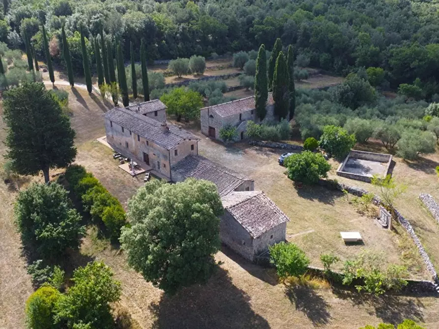Immagine 5 di Casa colonica in vendita  a Siena