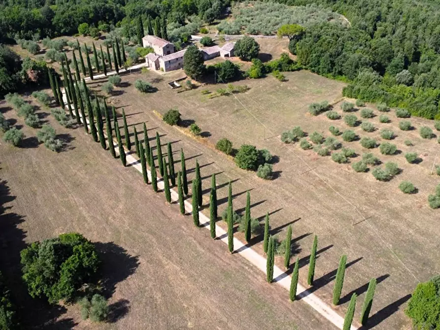 Immagine 3 di Casa colonica in vendita  a Siena