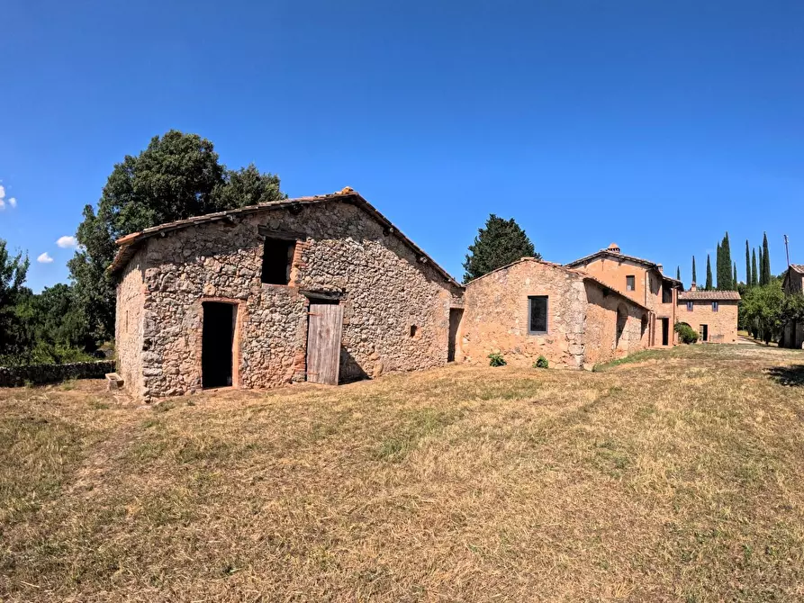 Immagine 24 di Casa colonica in vendita  a Siena