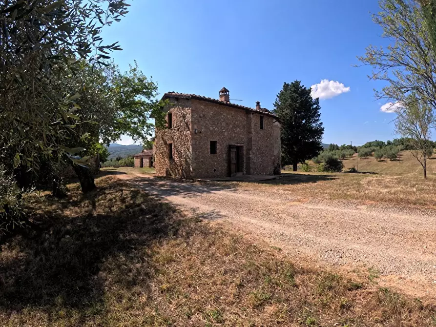 Immagine 25 di Casa colonica in vendita  a Siena