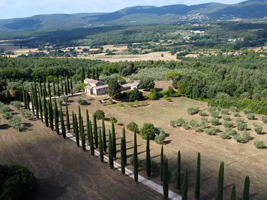 Immagine 2 di Casa colonica in vendita  a Siena