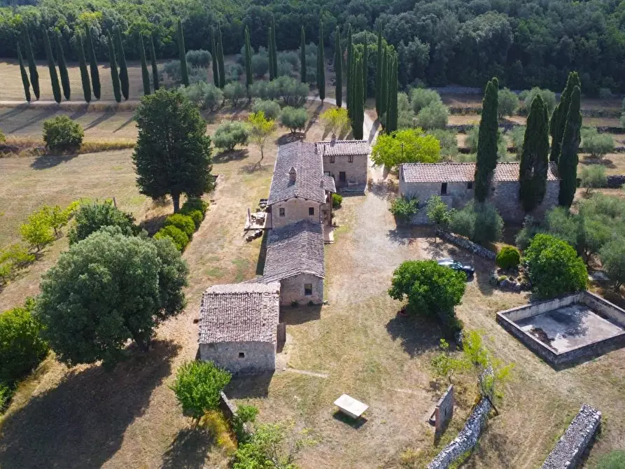 Immagine 6 di Casa colonica in vendita  a Siena
