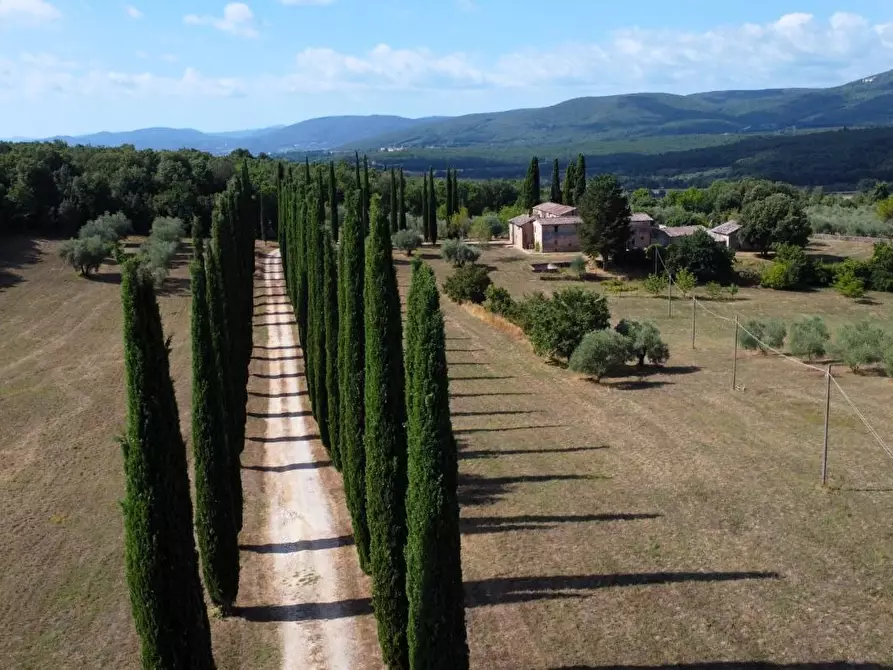 Immagine 1 di Casa colonica in vendita  a Siena