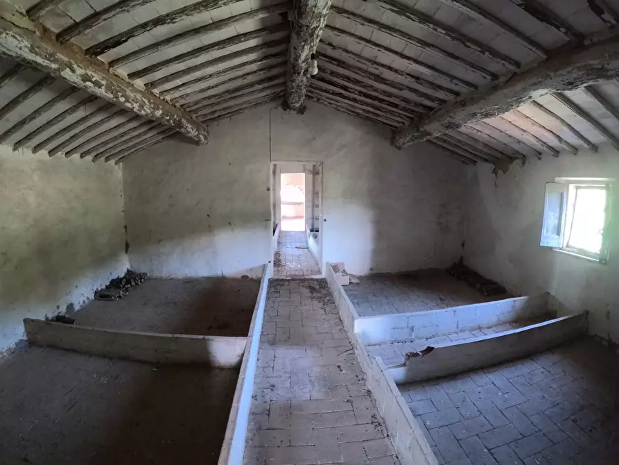 Immagine 56 di Casa colonica in vendita  a Siena