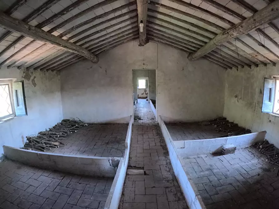 Immagine 57 di Casa colonica in vendita  a Siena