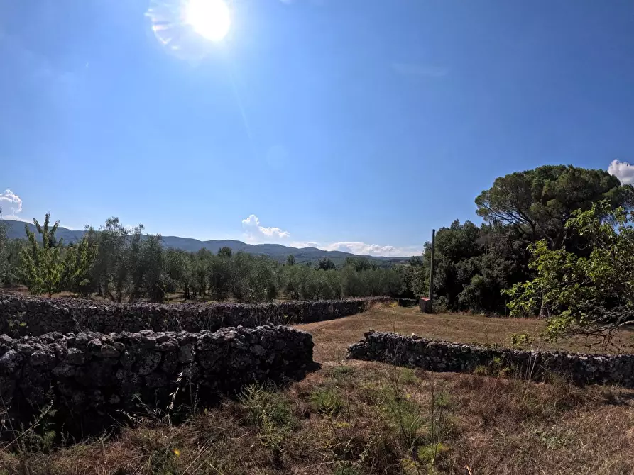 Immagine 26 di Casa colonica in vendita  a Siena
