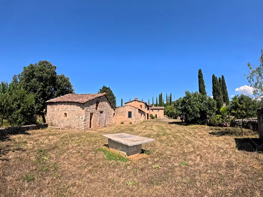 Immagine 21 di Casa colonica in vendita  a Siena