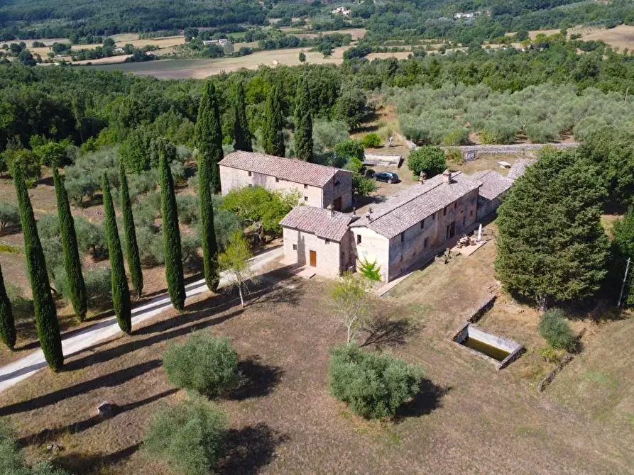 Immagine 9 di Casa colonica in vendita  a Siena