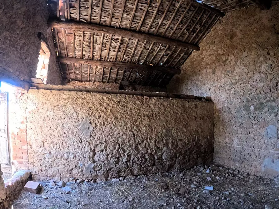 Immagine 52 di Casa colonica in vendita  a Siena