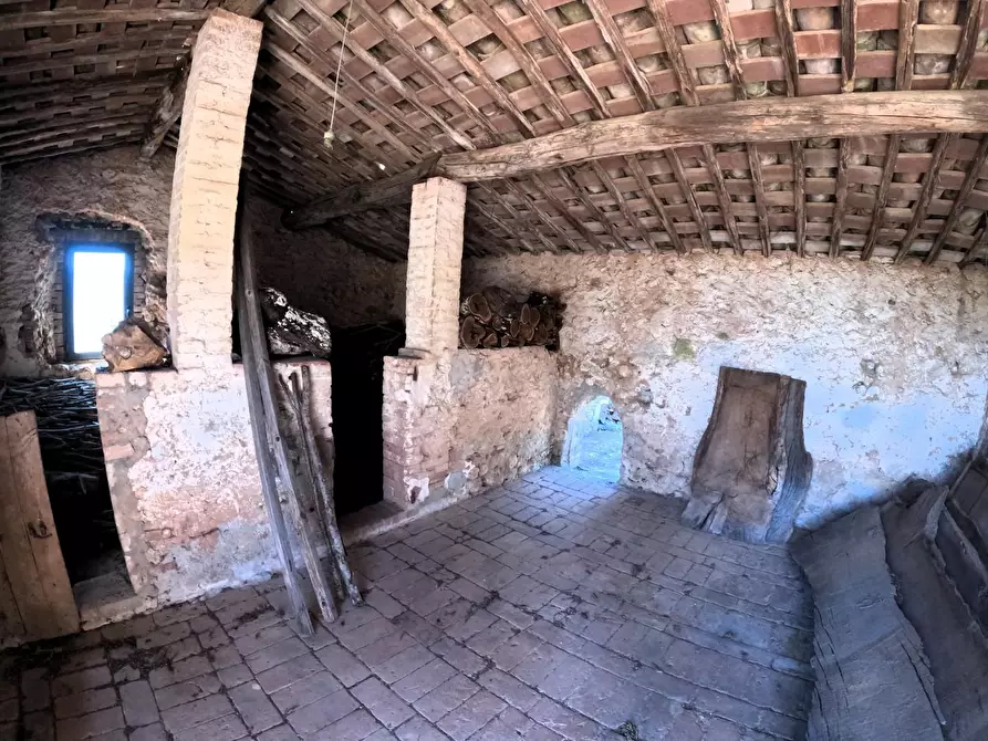 Immagine 54 di Casa colonica in vendita  a Siena