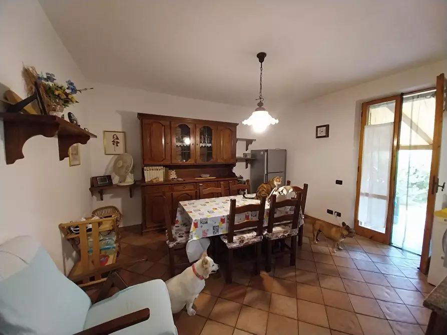 Immagine 6 di Villetta a schiera in vendita  a Calci