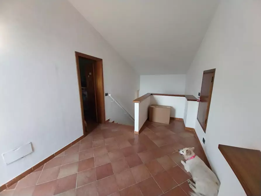 Immagine 26 di Villetta a schiera in vendita  a Calci