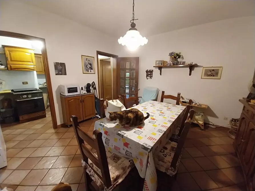 Immagine 12 di Villetta a schiera in vendita  a Calci