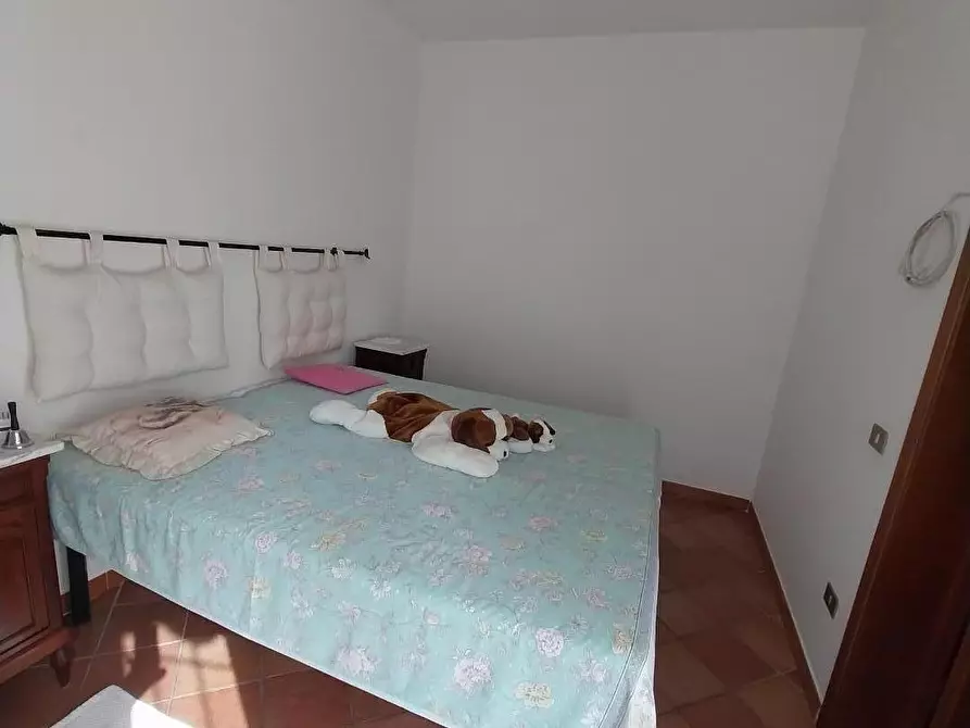 Immagine 15 di Villetta a schiera in vendita  a Calci