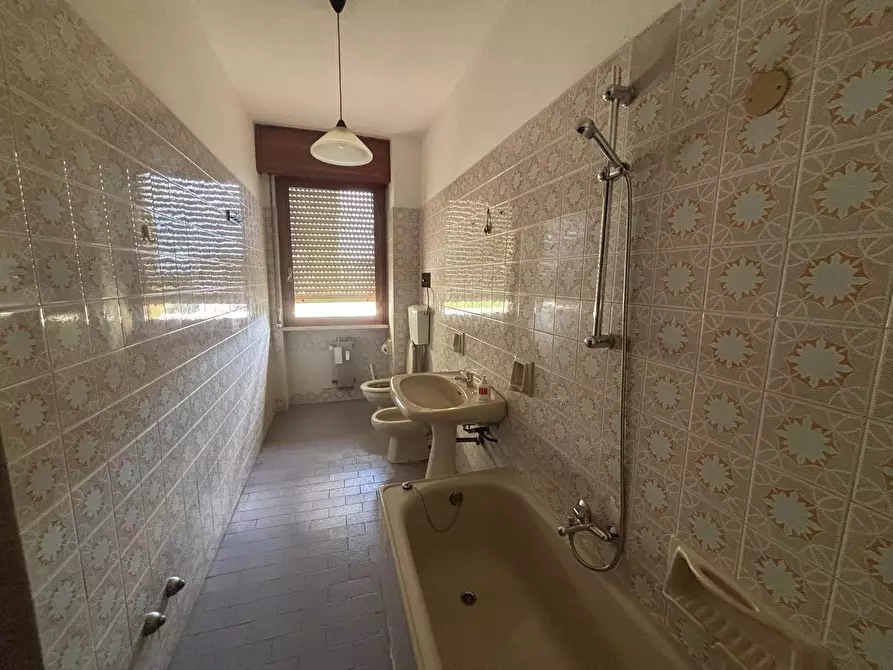 Immagine 8 di Appartamento in affitto  a Pisa