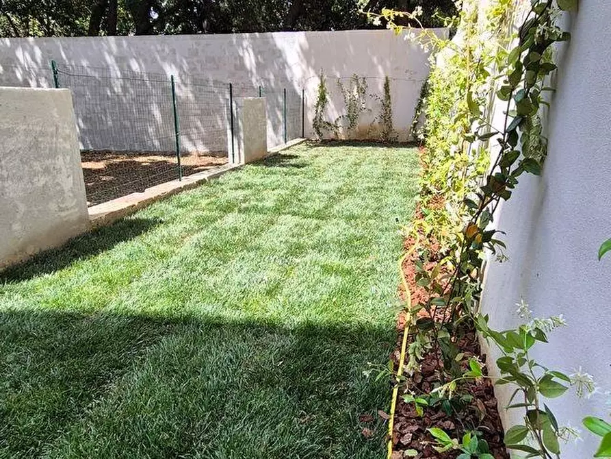 Immagine 14 di Appartamento in vendita  a Empoli