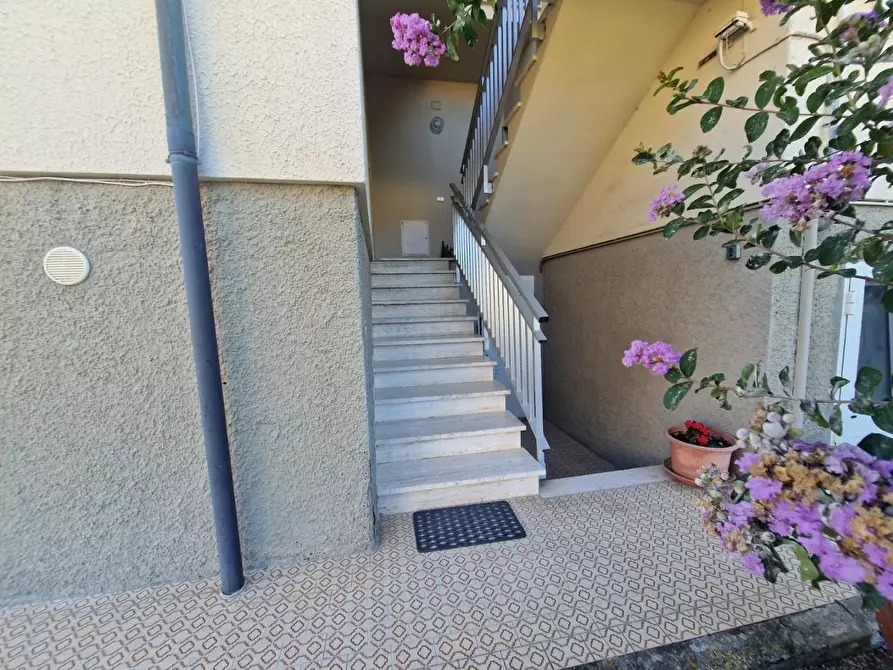 Immagine 2 di Appartamento in vendita  a Rosignano Marittimo