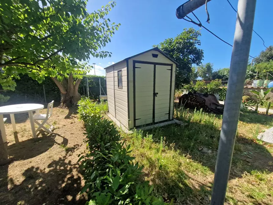 Immagine 11 di Appartamento in vendita  a Rosignano Marittimo