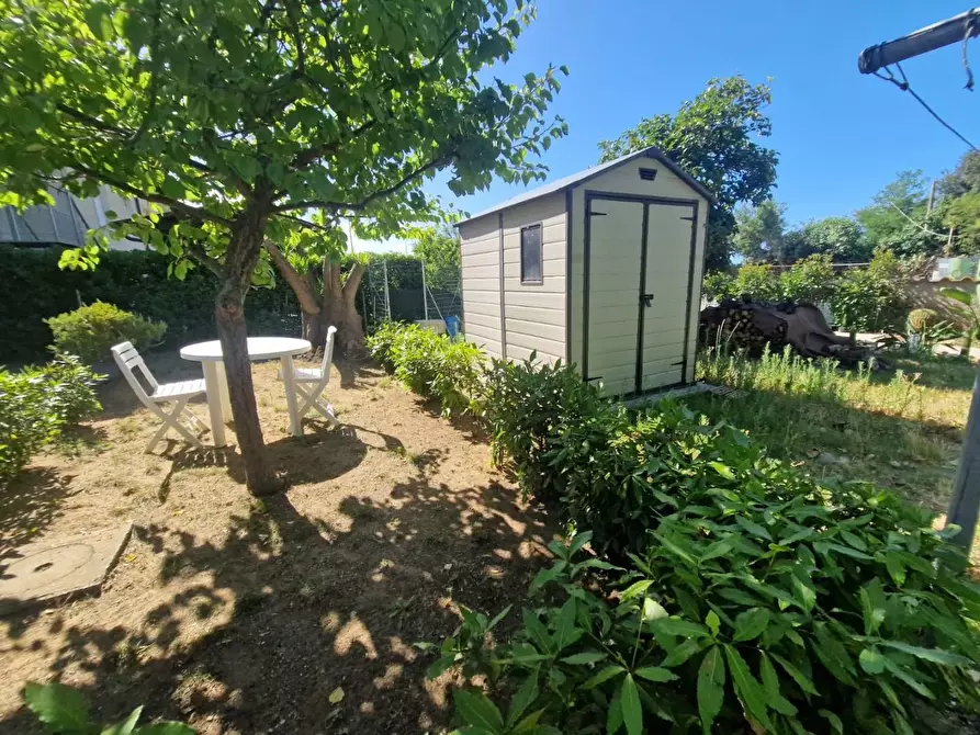 Immagine 10 di Appartamento in vendita  a Rosignano Marittimo