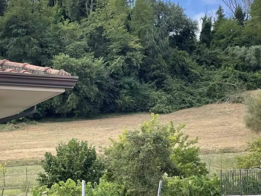 Immagine 5 di Appartamento in vendita  a San Miniato