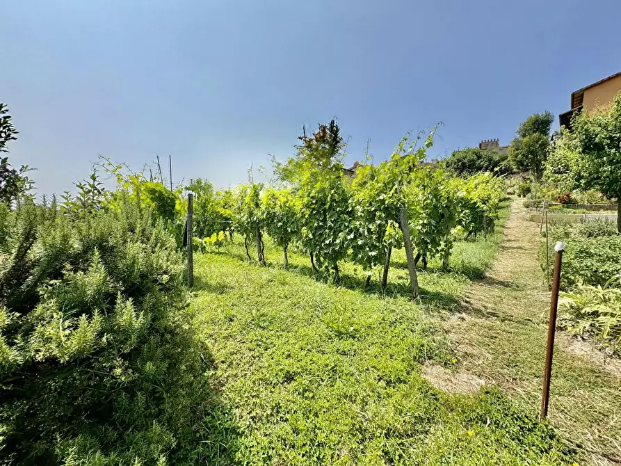 Immagine 24 di Terratetto in vendita  a Gambassi Terme