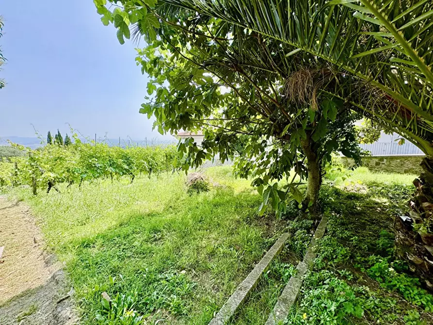 Immagine 23 di Terratetto in vendita  a Gambassi Terme