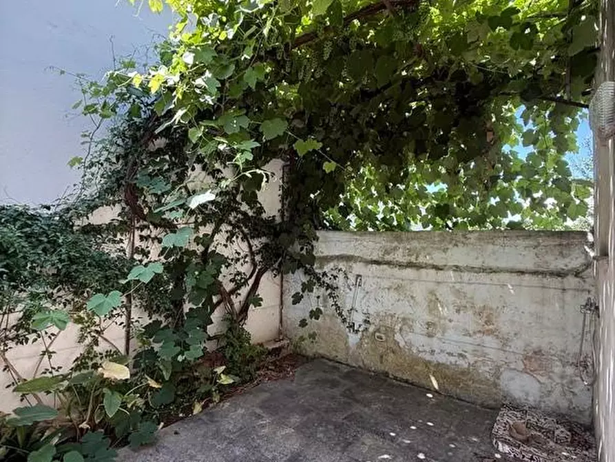 Immagine 38 di Palazzo in vendita  a Andrano