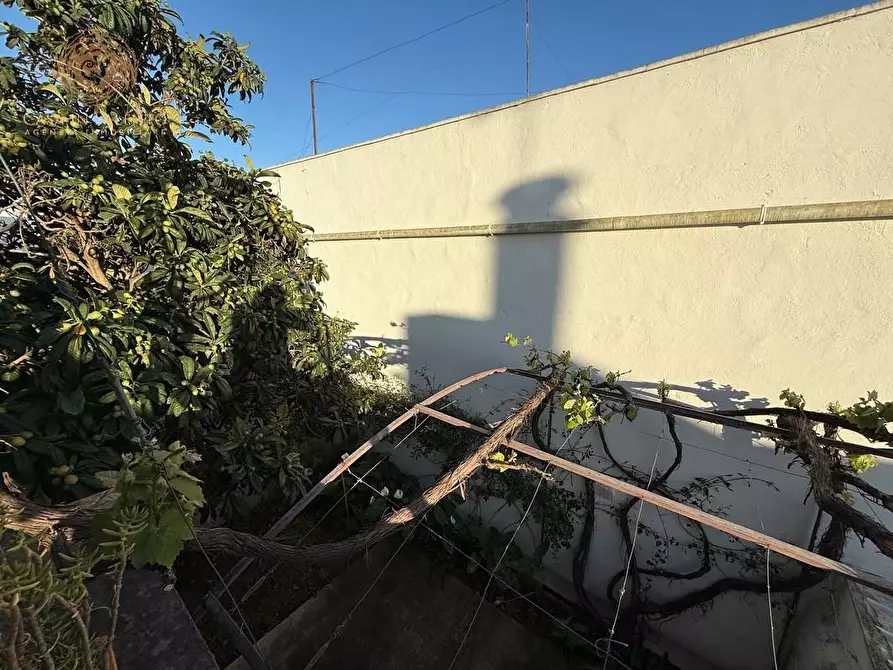 Immagine 8 di Palazzo in vendita  a Andrano