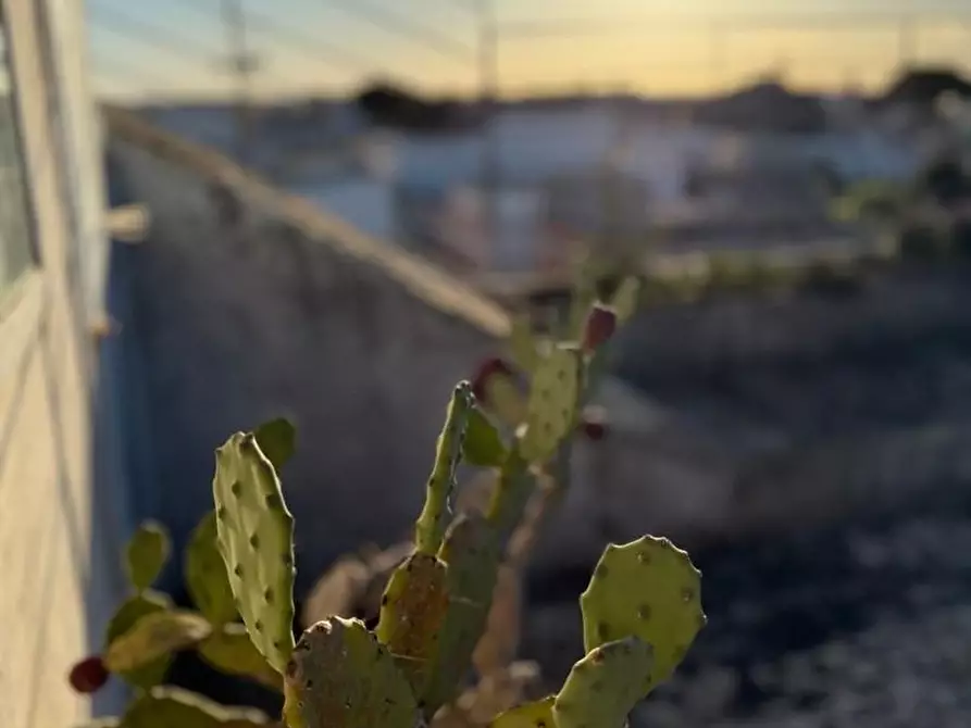 Immagine 24 di Palazzo in vendita  a Andrano