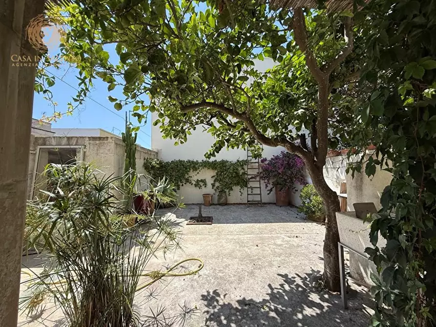 Immagine 48 di Palazzo in vendita  a Andrano