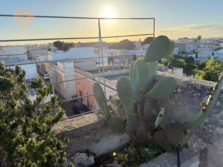 Immagine 22 di Palazzo in vendita  a Andrano