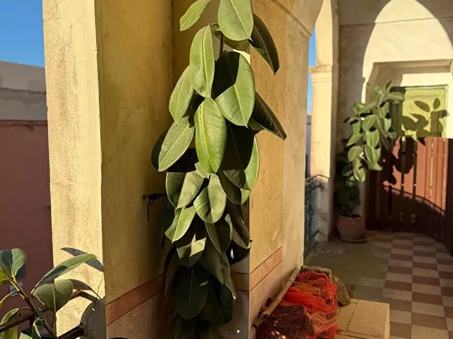 Immagine 31 di Palazzo in vendita  a Andrano