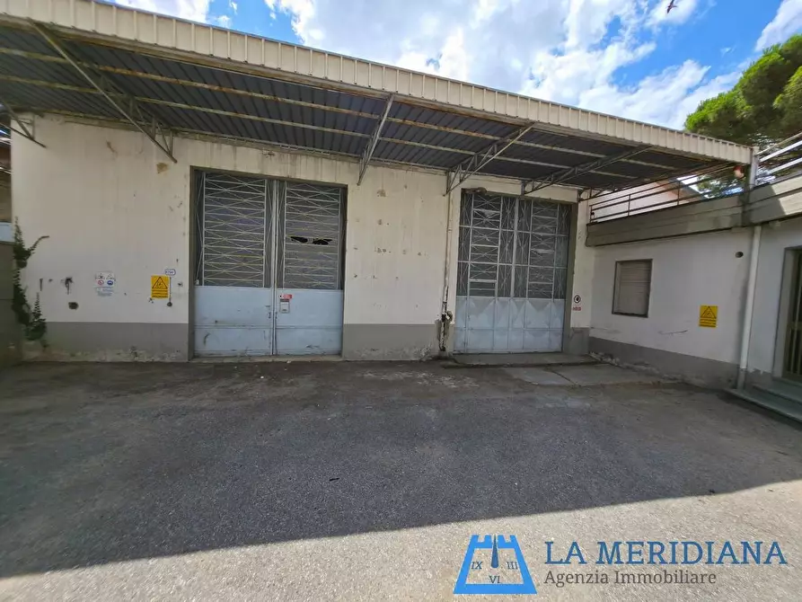 Immagine 49 di Casa indipendente in vendita  a Larciano