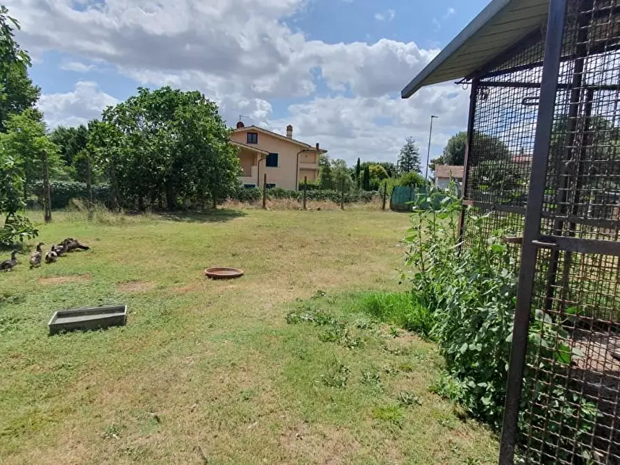 Immagine 6 di Casa indipendente in vendita  a Porcari