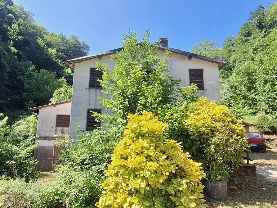 Immagine 3 di Casa colonica in vendita  a Pescaglia
