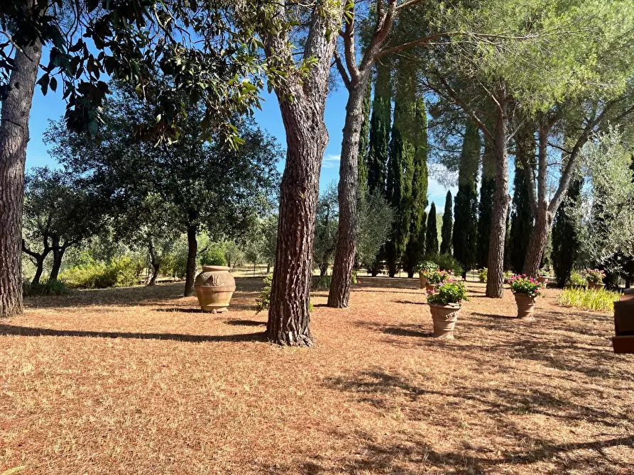 Immagine 19 di Villa in vendita  a Lastra A Signa