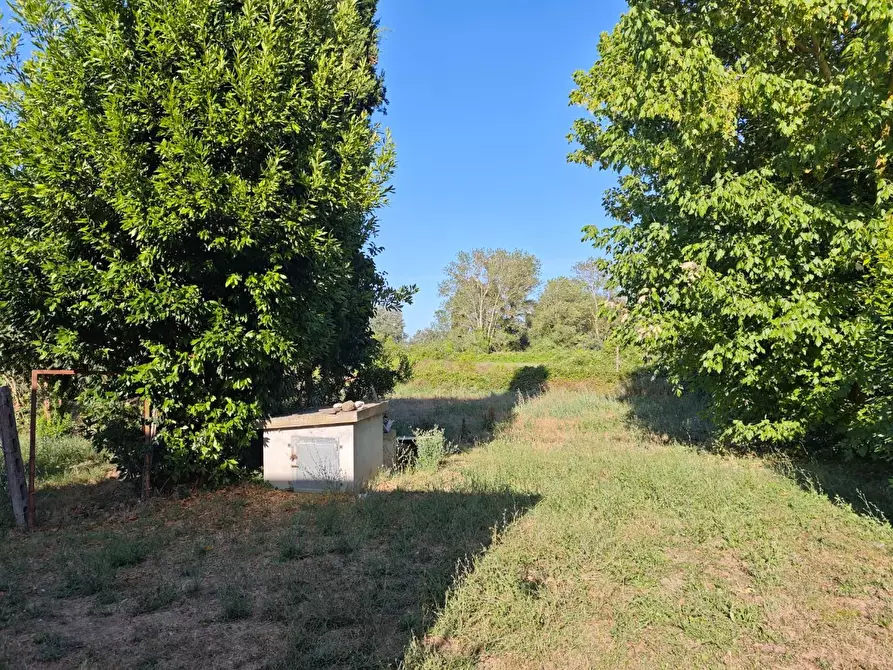 Immagine 21 di Porzione di casa in vendita  a Ponsacco