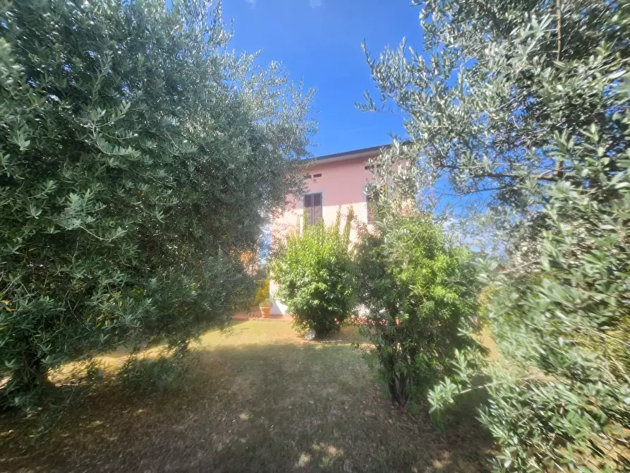 Immagine 17 di Villa in vendita  a Lucca