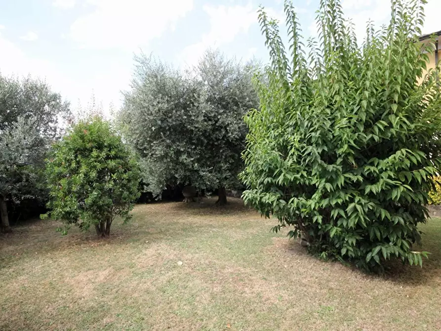 Immagine 7 di Villa in vendita  a Lucca