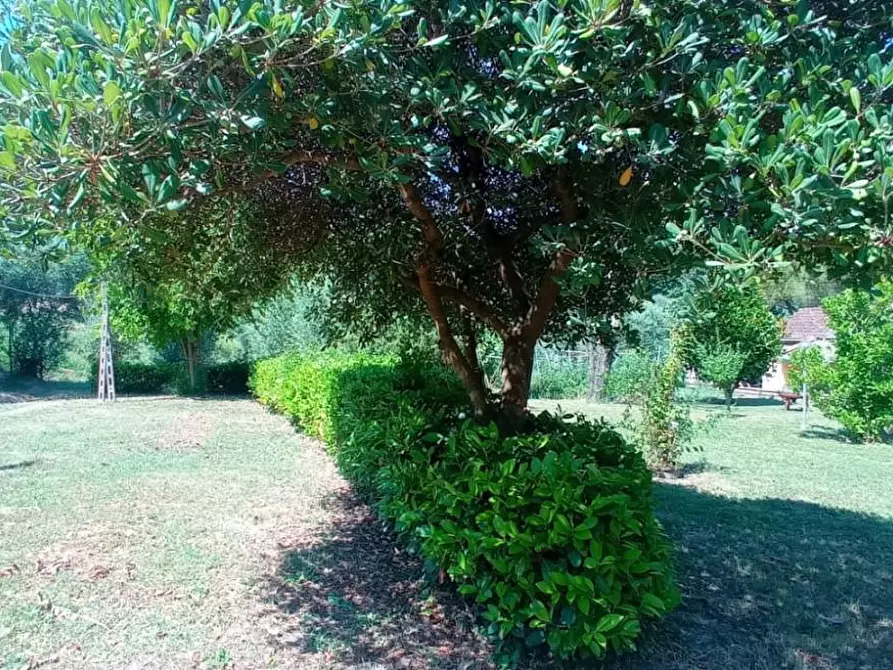 Immagine 13 di Terratetto in vendita  a San Miniato