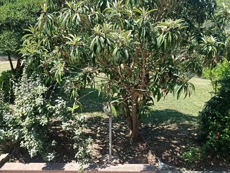 Immagine 14 di Terratetto in vendita  a San Miniato